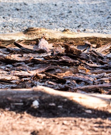 Barefoot Park Egestorf