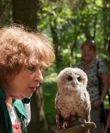 Greifvogel-Gehege Bispingen