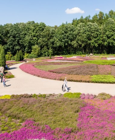 Heidegarten Schneverdingen