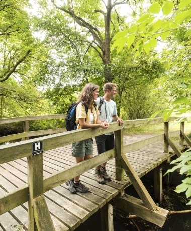 The Heidschnuckenweg pin as a reward