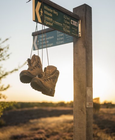 Romantisches Naturschutzgebiet Lüneburger Heide