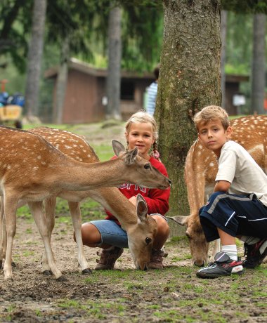 Lüneburg Heath Wildlife Park