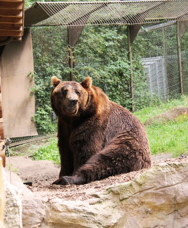 Lüneburg Heath Wildlife Park
