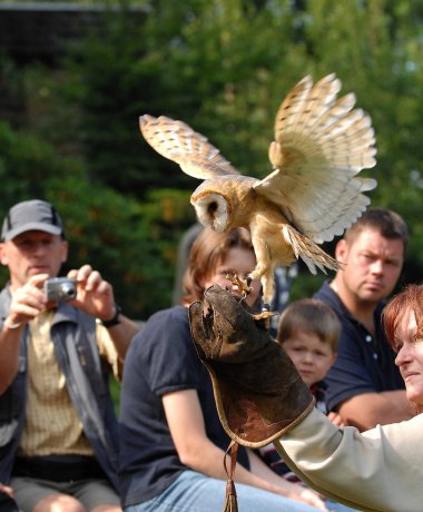Lüneburg Heath Wildlife Park
