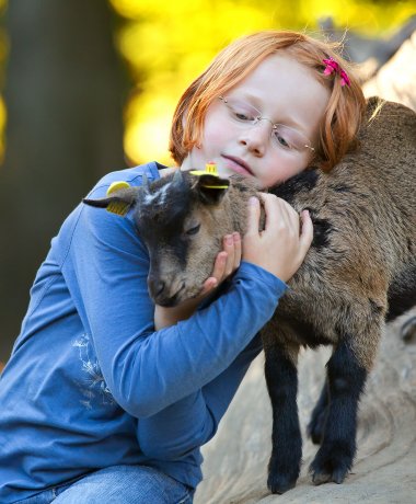 Lüneburg Heath Wildlife Park