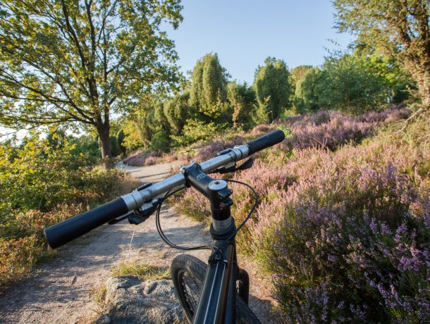 Radreisen Lüneburger Heide