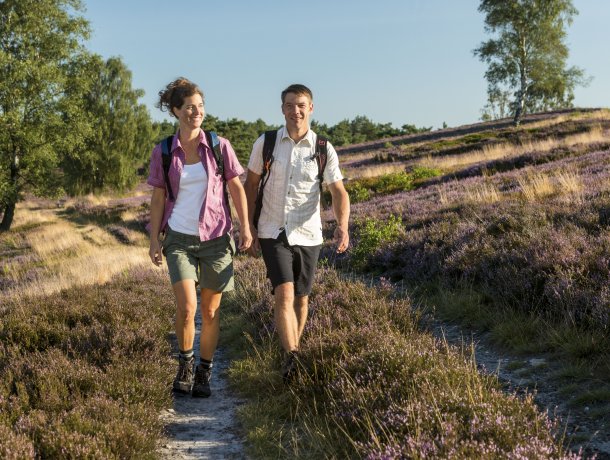Wandern Lüneburger Heide