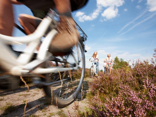 Radtouren Lüneburger Heide