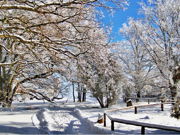 Romantische Winterheide