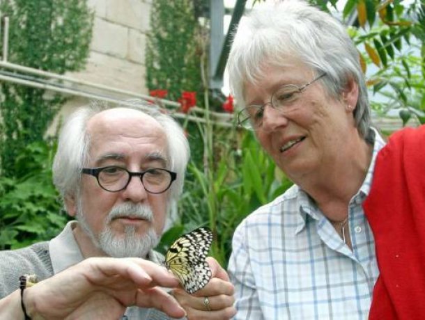 alaris Schmetterlingspark