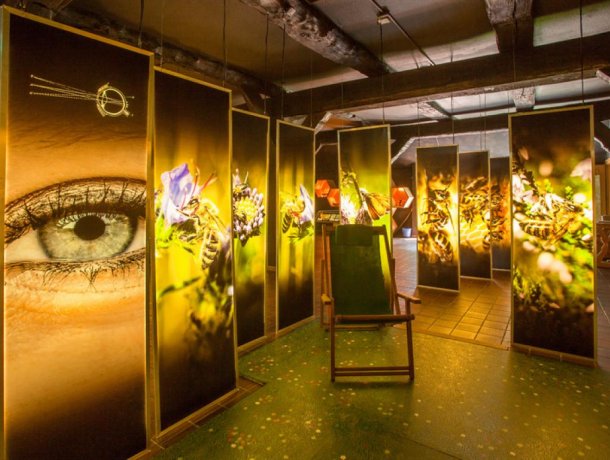 Ausstellung „Bienenwelten“
