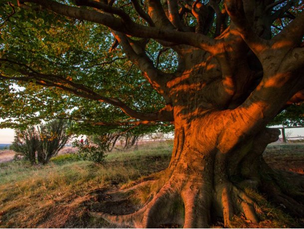 ganzjährig buchbar, Dauer von 1 Std. bis zum ganzen Tag