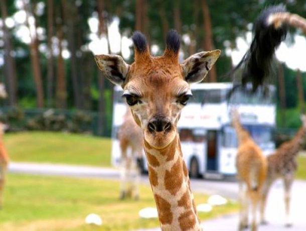 Serengeti-Park Hodenhagen