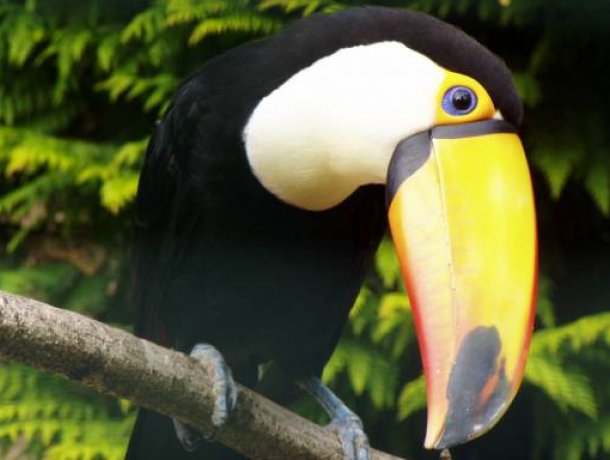 Weltvogelpark Walsrode
