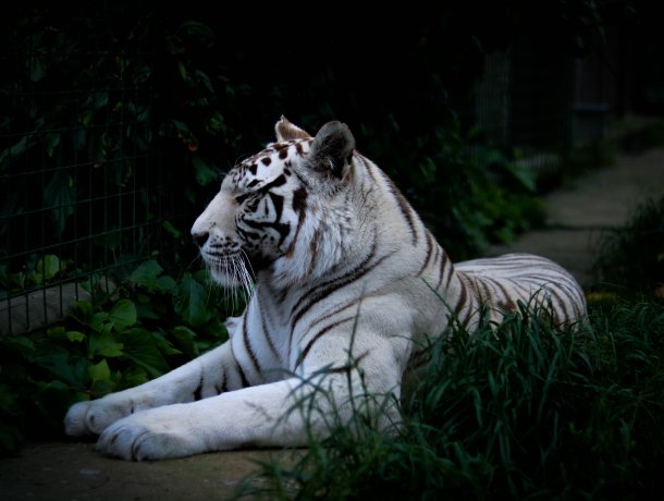 Wildpark Lüneburger Heide