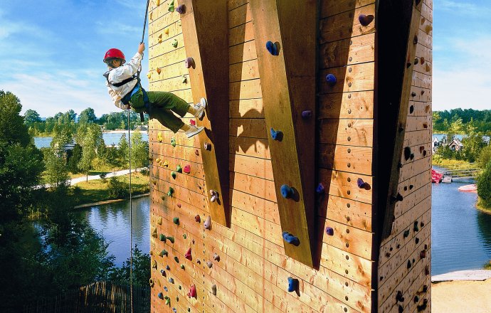 Teambuilding inmitten der Natur