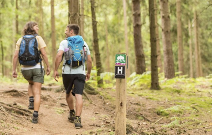 Hiking trail with 13 stages