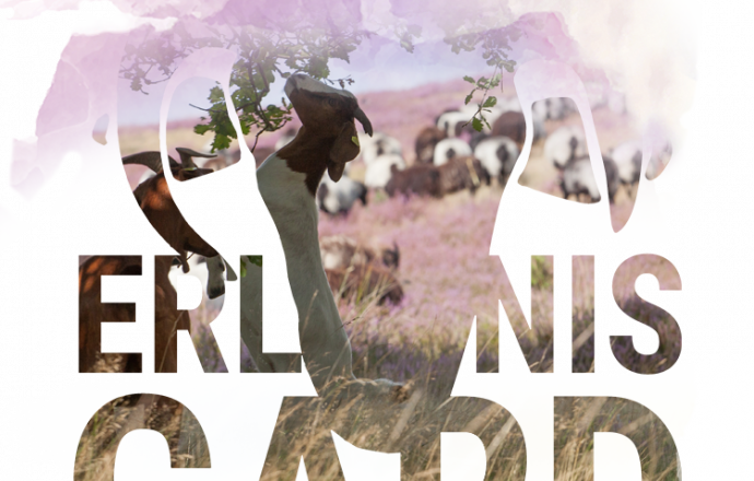 Mehr Erlebnis – mehr Service