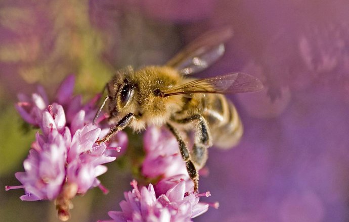 Jetzt individuelles Angebot anfordern!