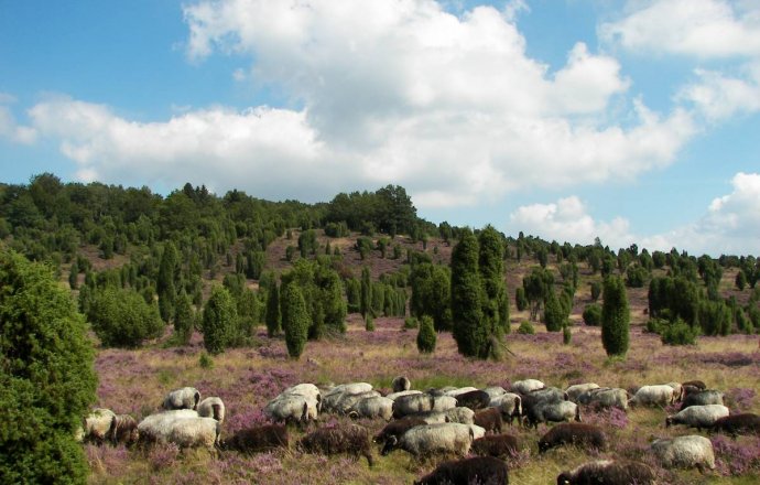 So buchen Sie Ihre Touren...