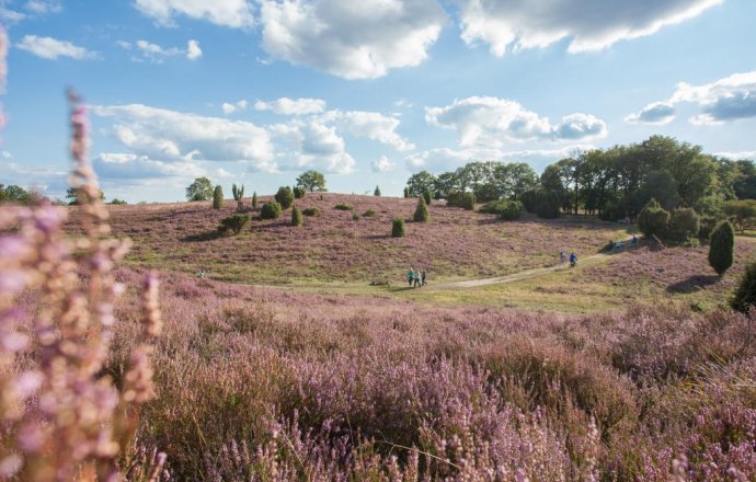 Hiking is a pleasure