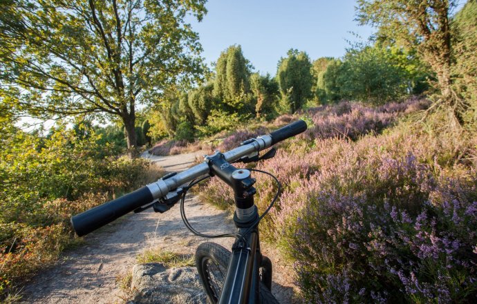 Radtouren Lüneburger Heide