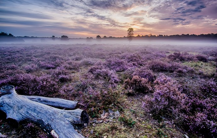 Radreisen Lüneburger Heide