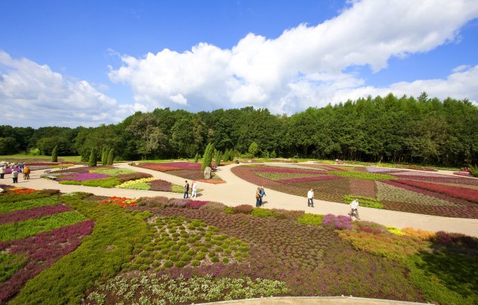 Tagesausflüge Gruppen Lüneburger Heide
