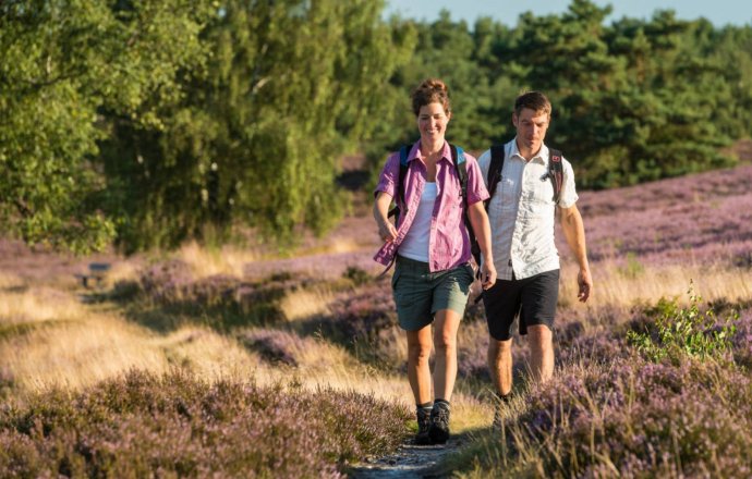 Wanderreise Lüneburger Heide
