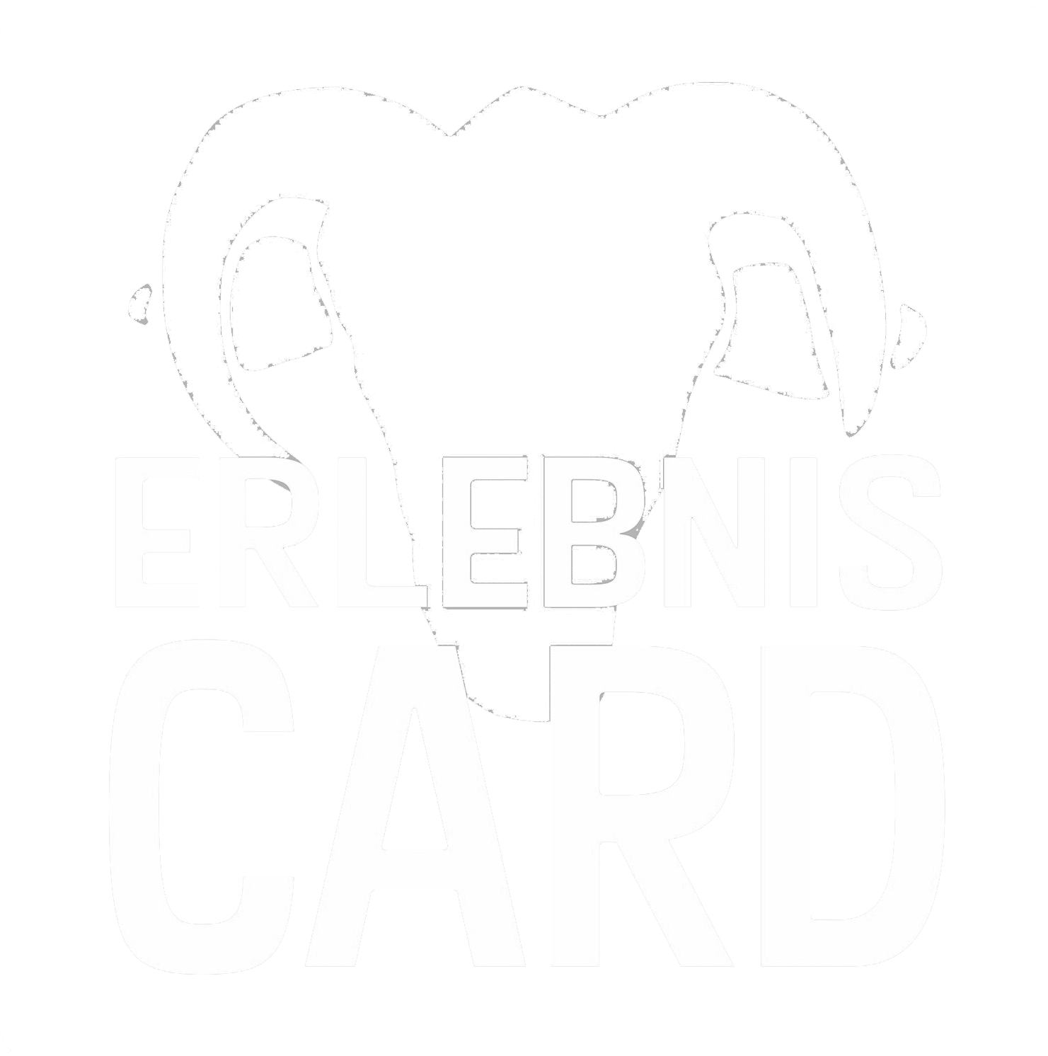 ErlebnisCard