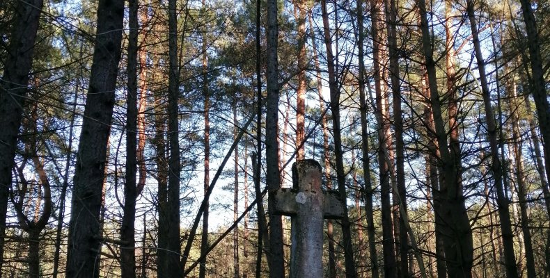 Szczegóły atrakcji
