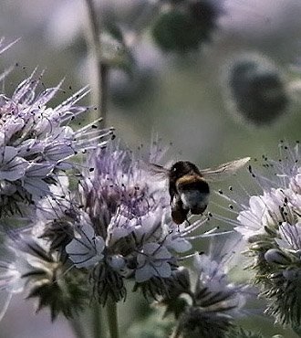 Obiekt<br>ekologiczny