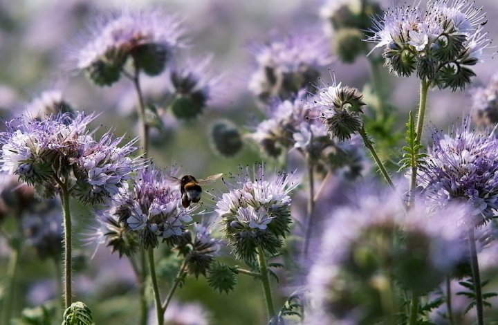 Nowoczesne rozwiązania