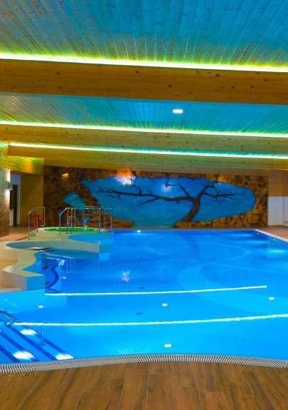 Strefa Wellness