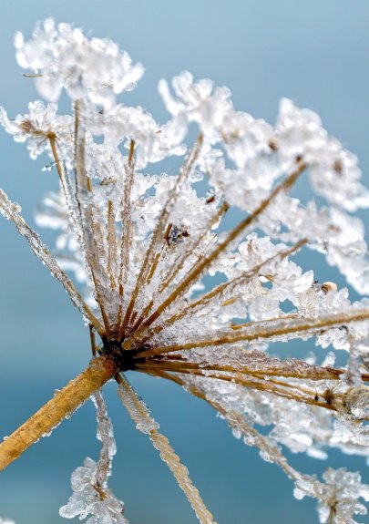 Przeciwwskazania do wykonania zabiegu