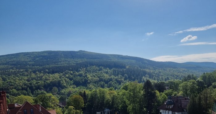 Szczegóły wydarzenia