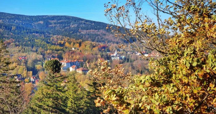 Szczegóły wydarzenia