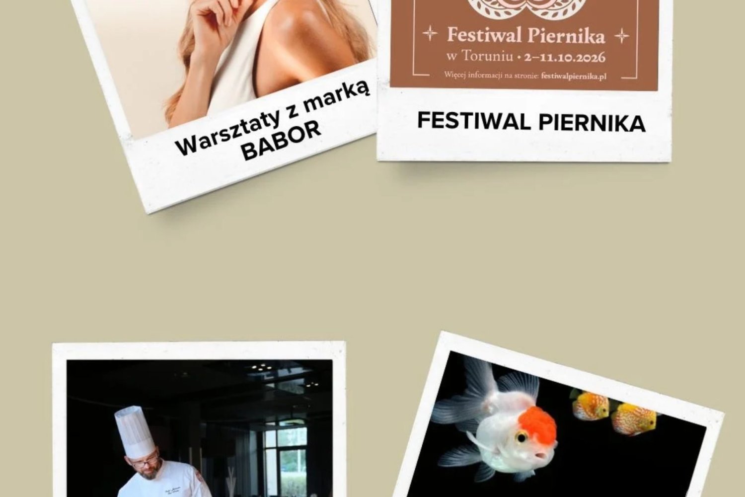 Październik w Toruniu