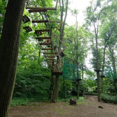 Barbarka – Waldsiedlung