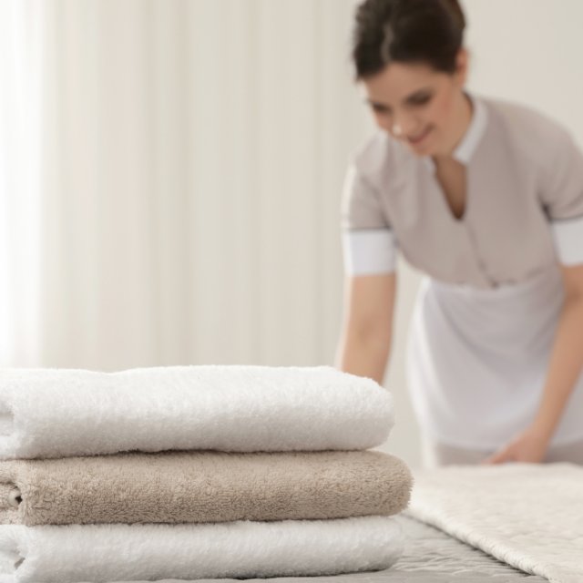 Mistrz utrzymania czystości