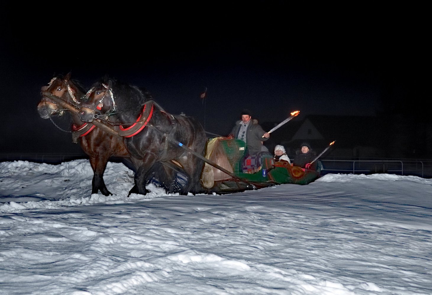 Sleigh rides along picturesque mountain paths