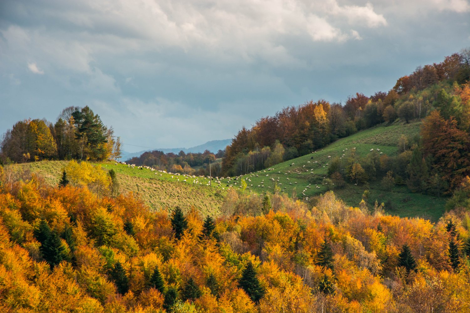 Co robić w deszczowy dzień w górach? Pomysły na spędzenie czasu z dziećmi w brzydką pogodę