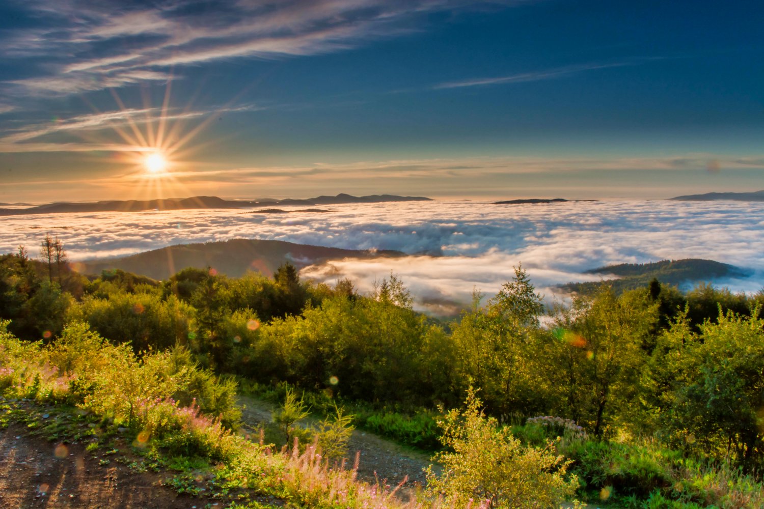 Promocja na DZIEŃ MAMY 2022