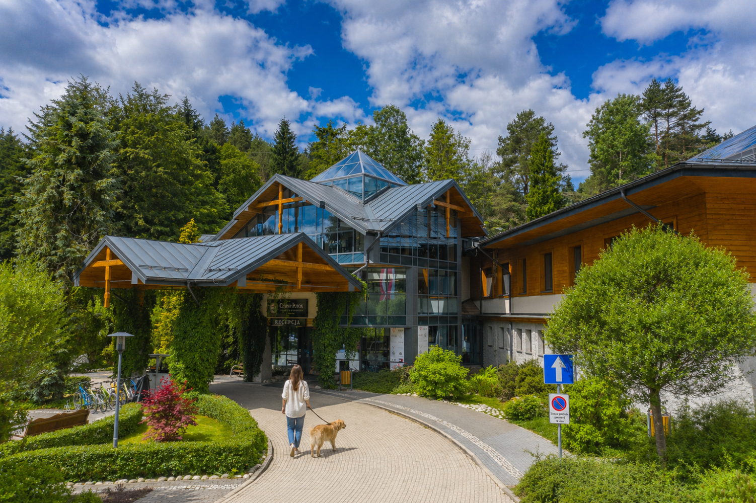 Gdzie na wakacje z psem w Polsce? Praktyczny poradnik dla opiekun&oacute;w