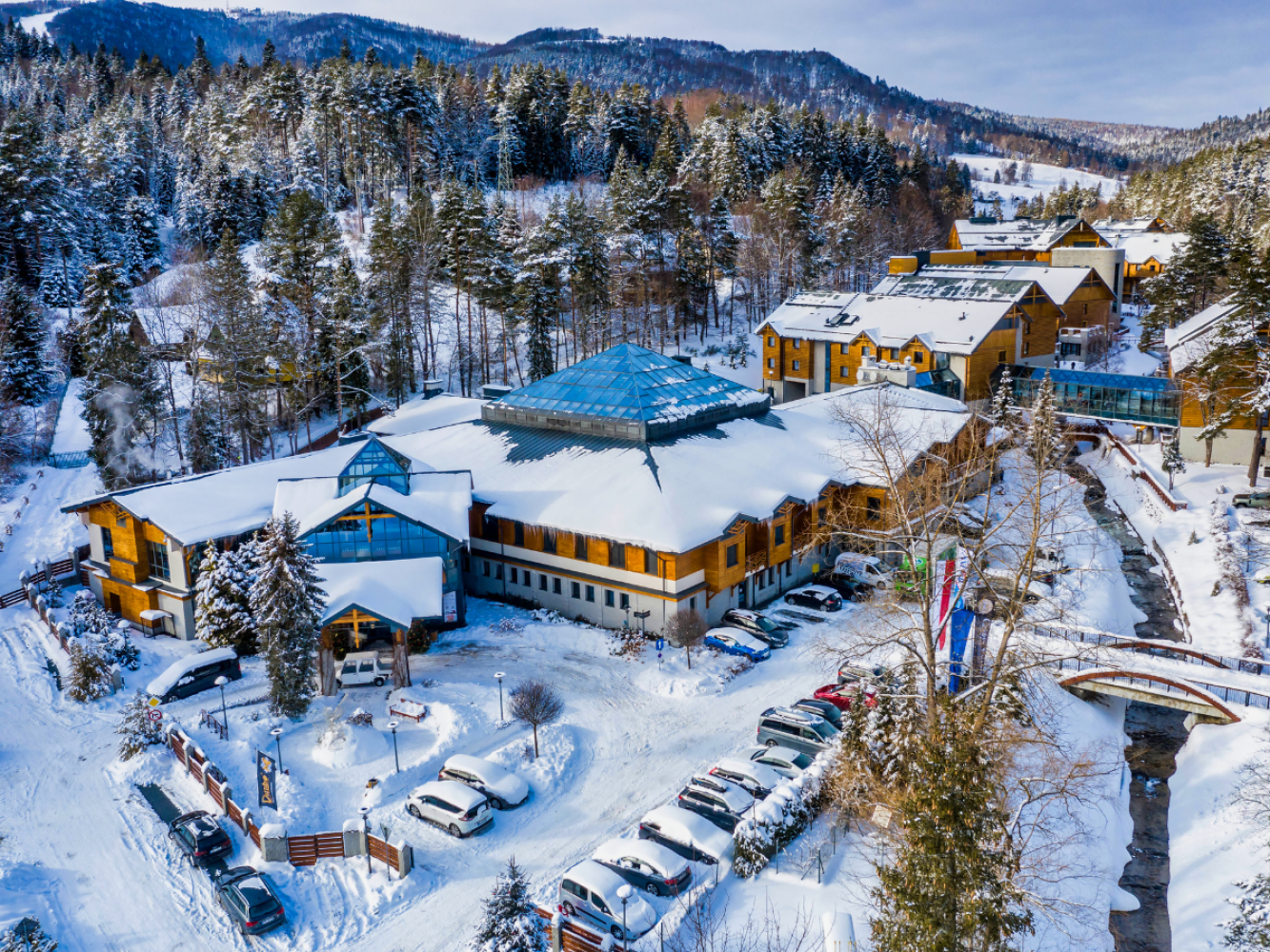 Gdzie udać się w góry z psem? Najlepsze miejsca i nocleg w Beskidach