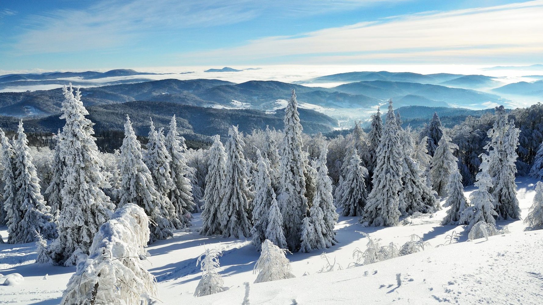 Narty biegowe - modny sposób na spędzenie zimowego urlopu
