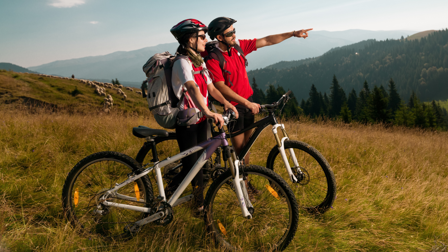 Gdzie na rower? Sprawdź najpopularniejsze kierunki podróży