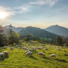 Polskie góry wiosną – dlaczego warto je odwiedzić?