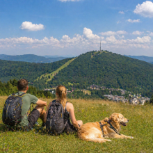 Gdzie udać się w g&oacute;ry z psem? Najlepsze miejsca na wycieczkę