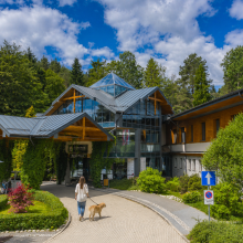 Gdzie na wakacje z psem w Polsce? Praktyczny poradnik dla opiekun&oacute;w